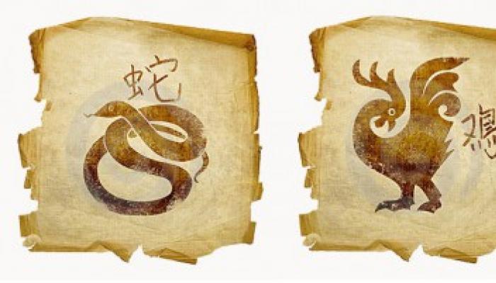 Знаки Зодиака: Петух и Змея - совместимость на долгие годы